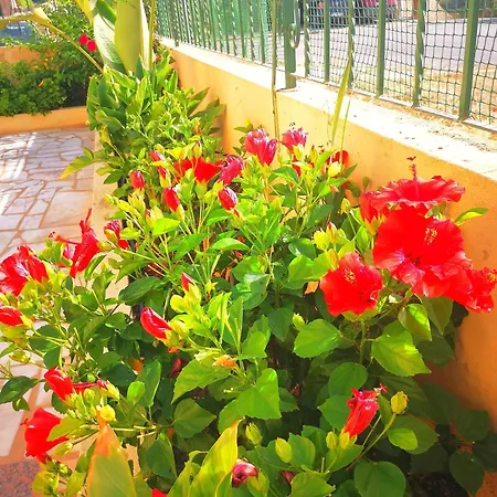 Olival With Pool Walking Distance To Villa *